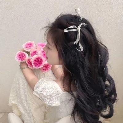 我的阿米什人双重生活