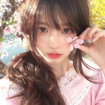 哈莉·奎茵第四季